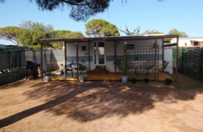 Vacances Mobilhome à Fréjus sur terrain privé